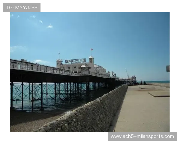 布莱顿追德布劳内式桥梁：开启城市创新与未来连接的新篇章